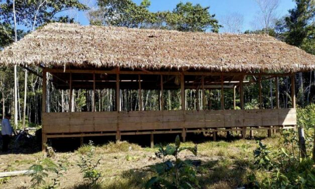 Plan de Vida Plena de la Comunidad Nativa Masenawa