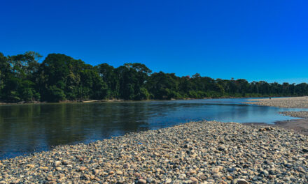 Comunidad nativa San José de Karene