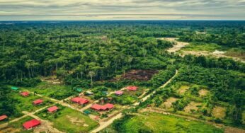 Comunidad nativa Barranco Chico