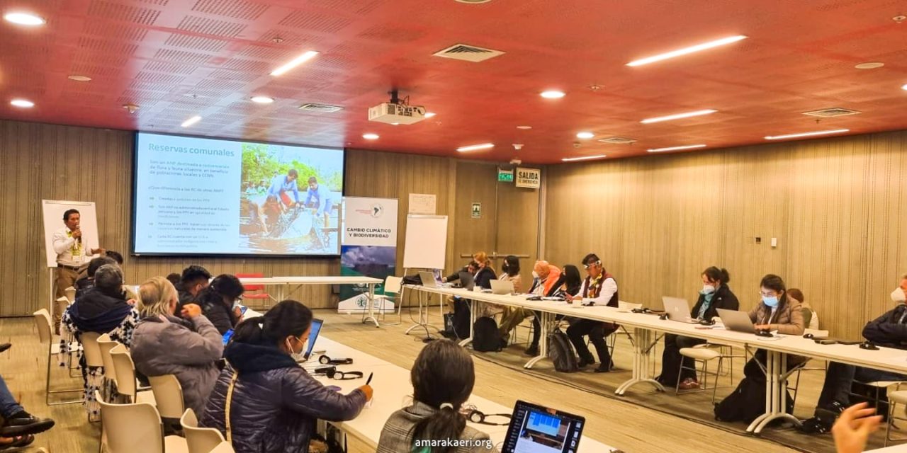 ECA Amarakaeri y ANECAP presentan avances de RIA durante V Cumbre Amazónica