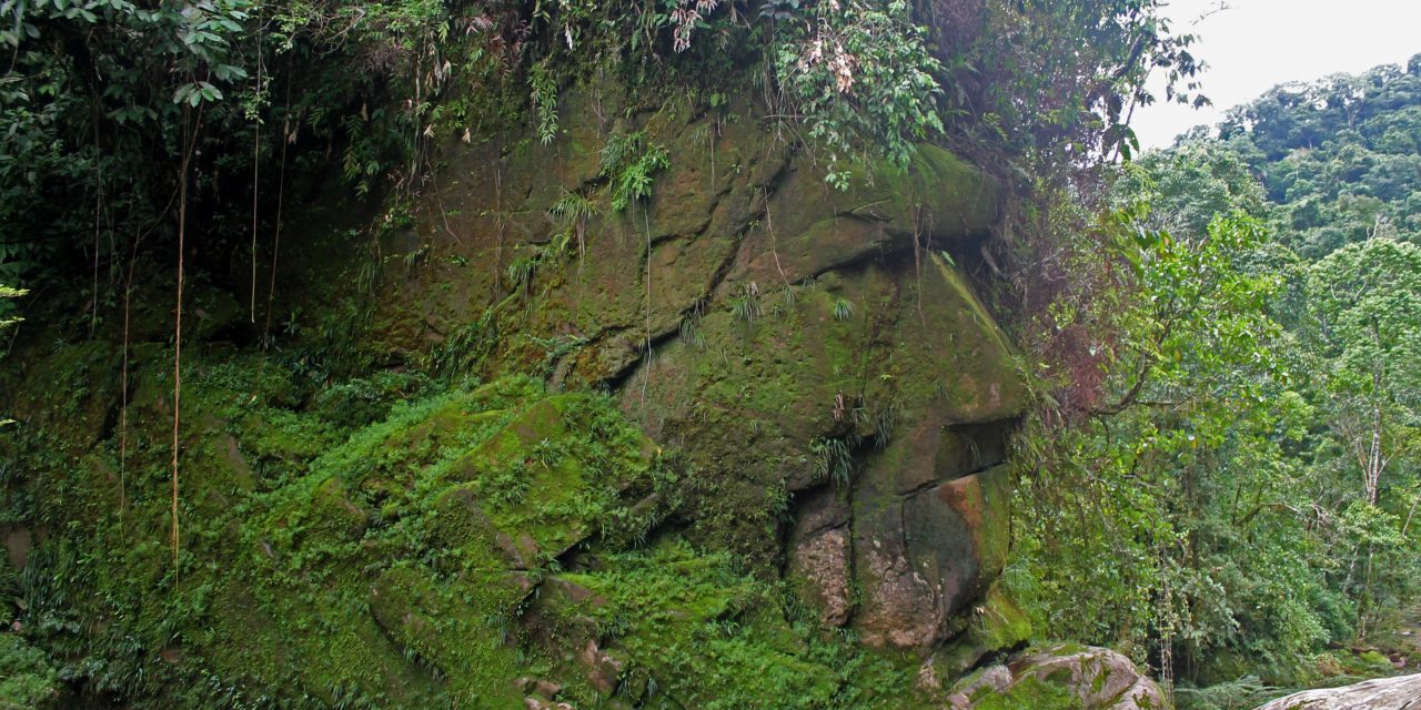 Sitio Arqueológico Rostro Harakbut
