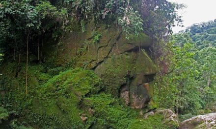 Sitio Arqueológico Rostro Harakbut