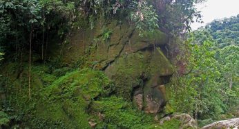 Sitio Arqueológico Rostro Harakbut