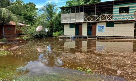 Comunidad nativa Puerto Azul Mberohue exige presencia de autoridades tras inundación