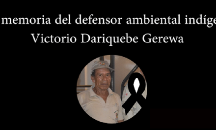Cuidar nuestros bosques se convierte en actividad de alto riesgo. La Reserva Comunal Amarakaeri sangra por sus defensores ambientales