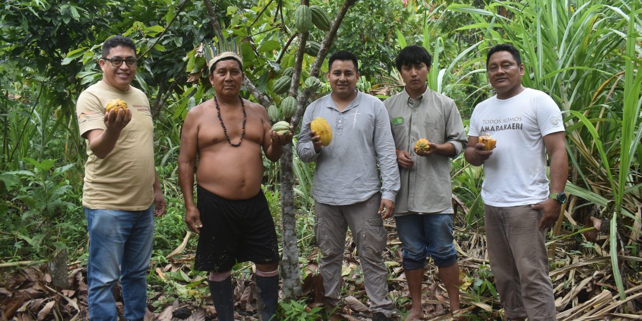 Cogestión de Amarakaeri fortalece la cadena productiva del cacao nativo en sus comunidades nativas socias