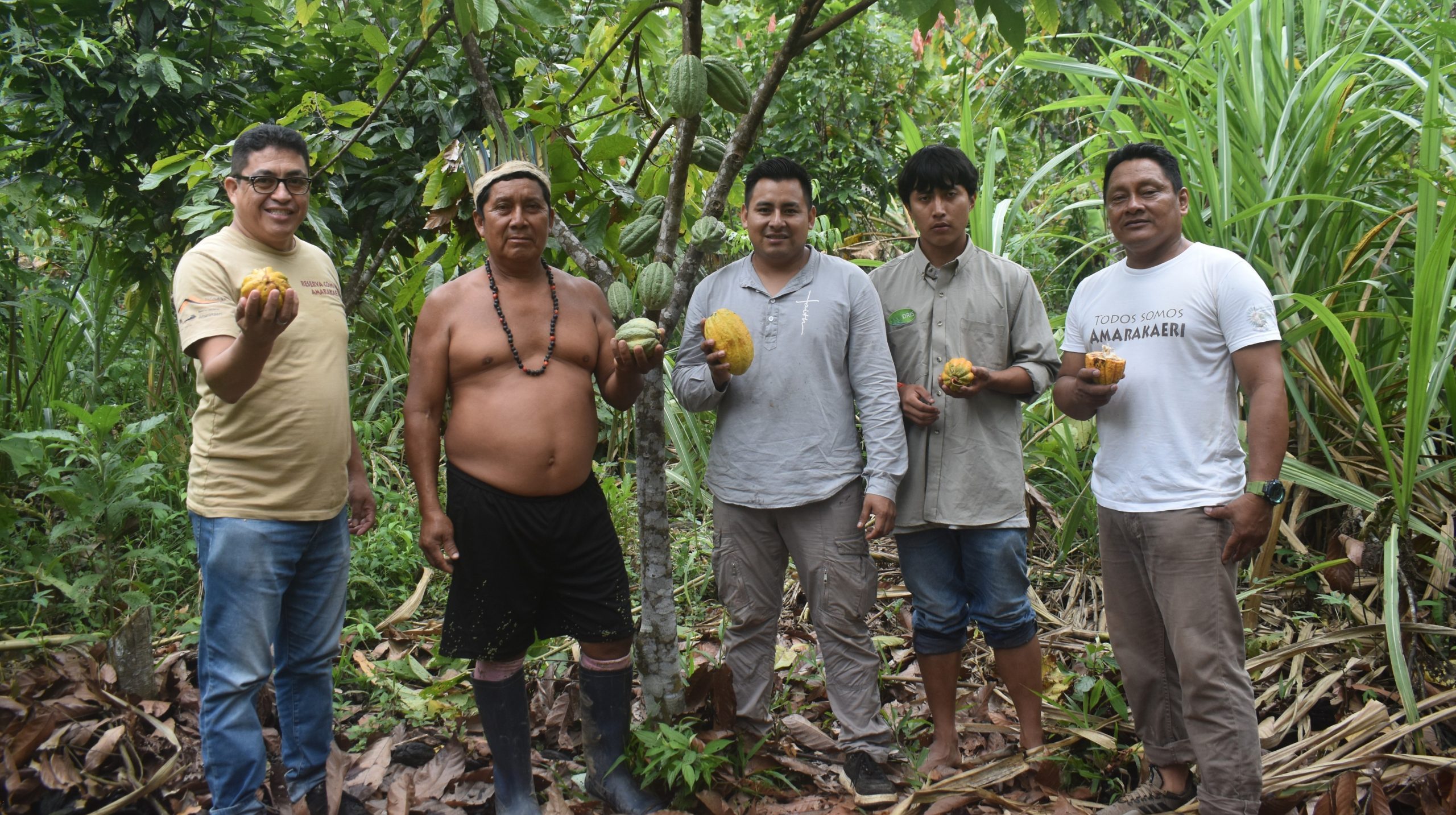 En el marco de la implementación del proyecto Wanamei, la cogestión viene fortaleciendo la producción y comercialización del cacao nativo a través de la marca "Amarakaeri".
