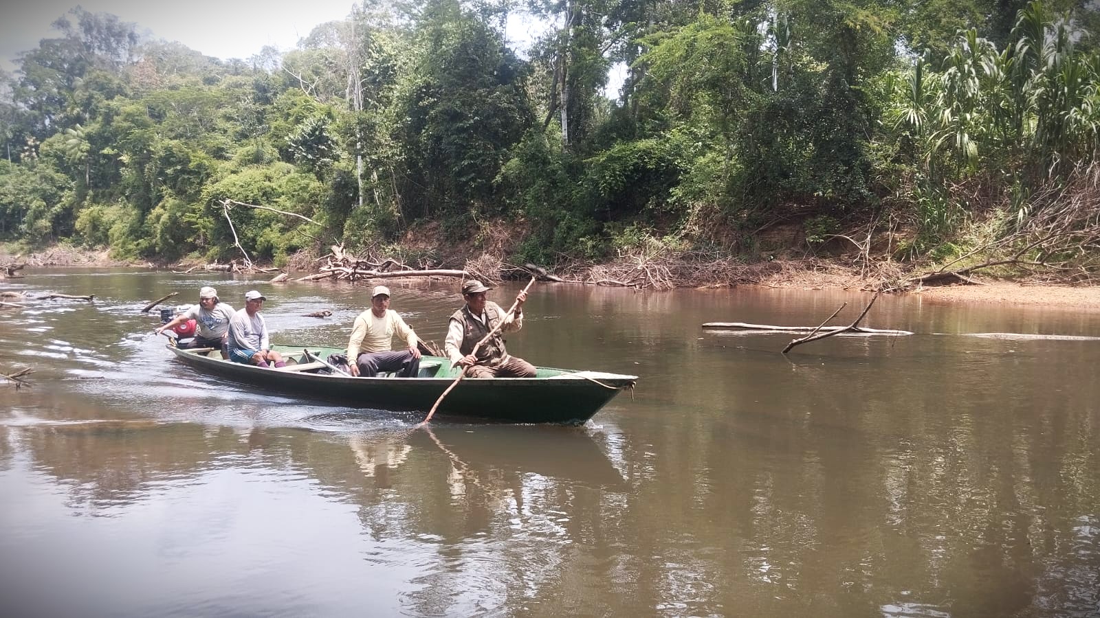 En el ámbito de la Reserva Comunal Amarakaeri se realizaron monitoreos ambientales a tres elementos de conservación del área: maquisapa, lobo de río y castaña
