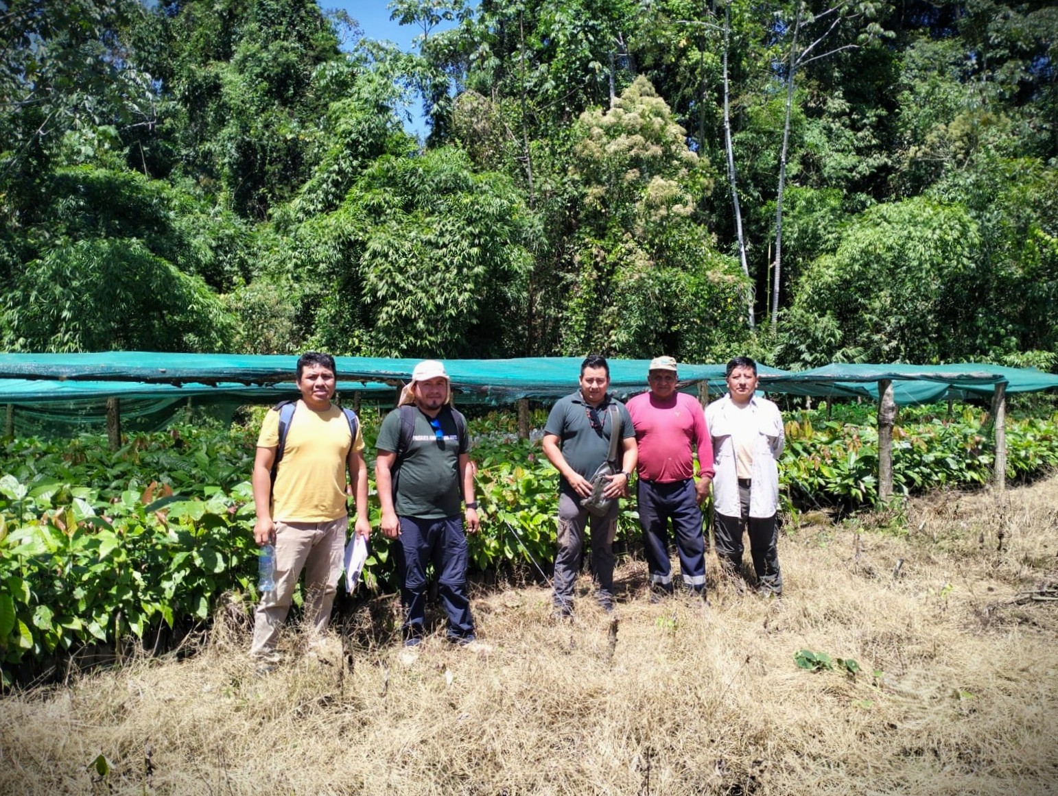 El seguimiento a las parcelas de las comunidades se realiza con el objetivo de priorizar acciones para seguir fortaleciendo la cadena productiva del cacao en Amarakaeri.
